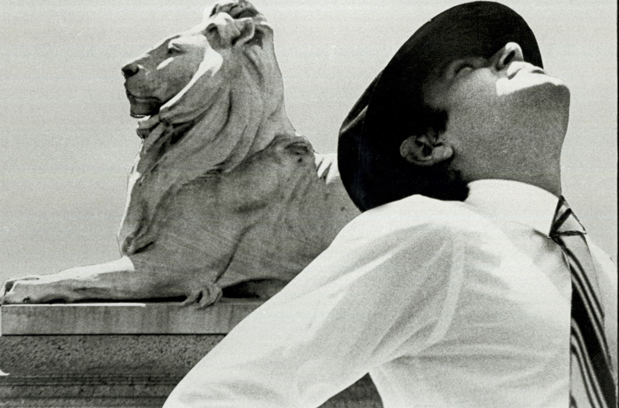 2025 Robert Longo